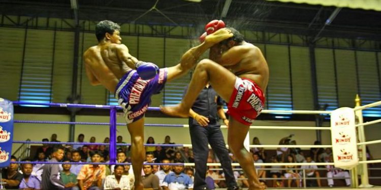 المواي تاي تنشر فايروس كورونا في تايلاند