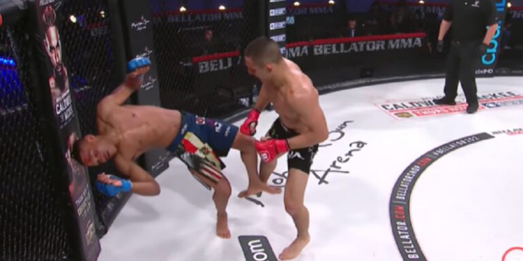 أقوى الضربات القاضية في 2020 بالفيديو