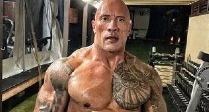 ذا روك يساند نجومه المفضلين فى الفنون القتالية على طريقته