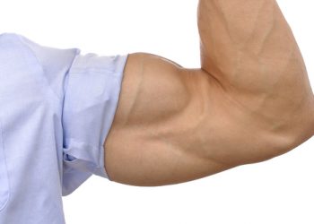 13 جينا مسؤولة عن بناء العضلات بشكل أسرع
