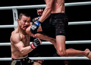 شاهد واحدة من أفضل الضربات القاضية في تاريخ MMA  (فيديو)