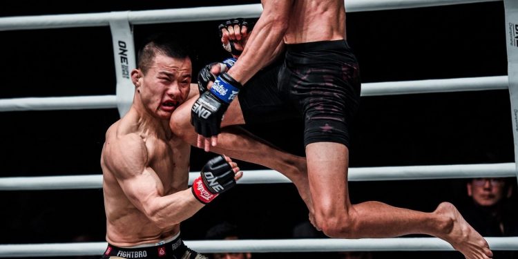 شاهد واحدة من أفضل الضربات القاضية في تاريخ MMA  (فيديو)