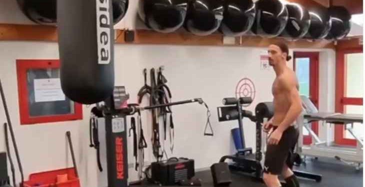 ابراهيموفيتش يتدرب على كيس الملاكمة