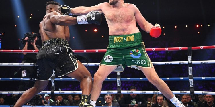 فيوري : لا أكره أوسيك .. وأحترمه رجلا ومقاتلا