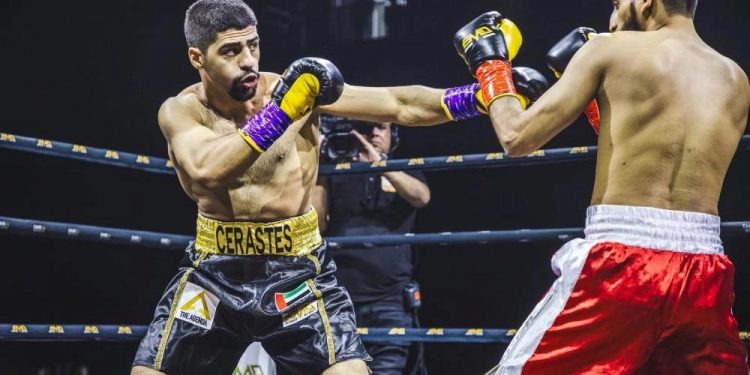 ليلة تحدي أبطال الملاكمة المحترفين تنطلق في دبي