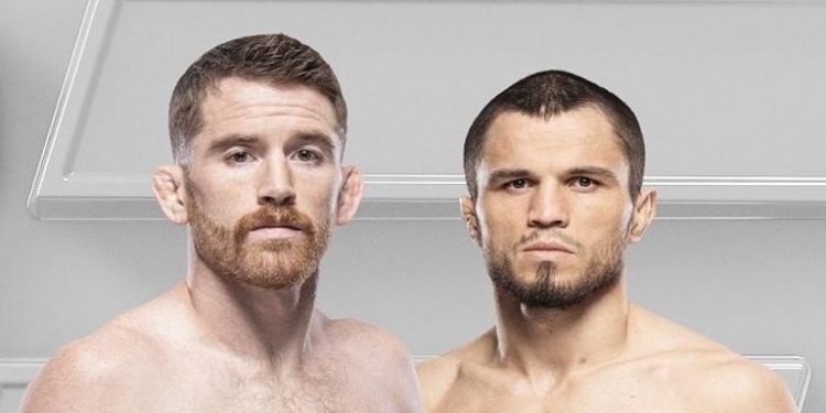 نزال بين ساندهاغن وعمر نور محمدوف فى أبوظبي