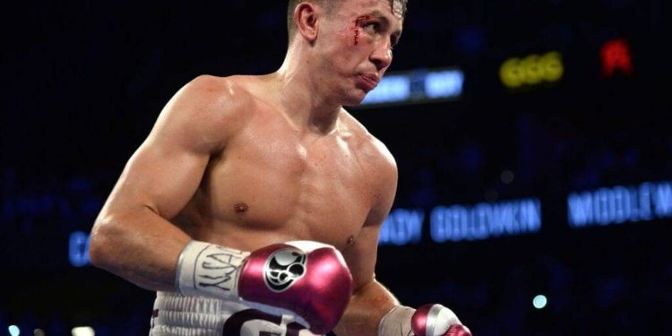 أسطورة الملاكمة جولوفكين يفكر فى العودة إلى الحلبة