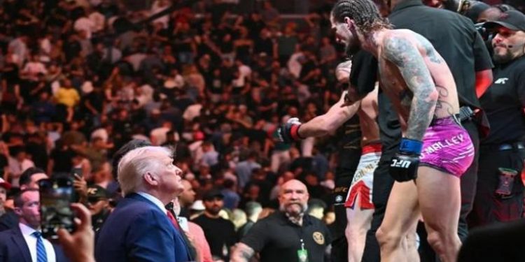 ترامب : سنرى نزالاً للفنون القتالية المختلطة على أرض البيت الأبيض