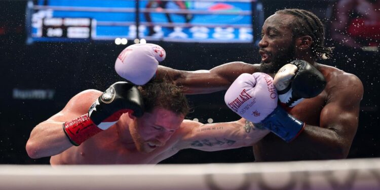 ماركا : كانيلو ألفاريز يفكر فى الإعتزال