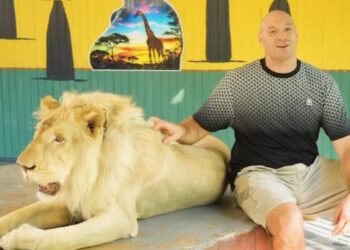 تايسون فيوري يستعد لنزال محمودوف مع ” الأسد”