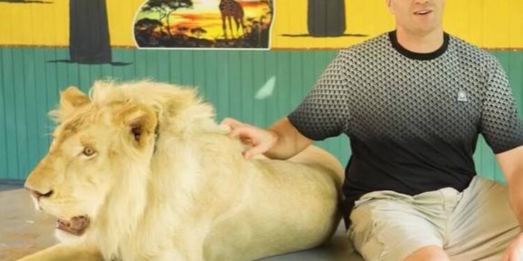 تايسون فيوري يستعد لنزال محمودوف مع ” الأسد”